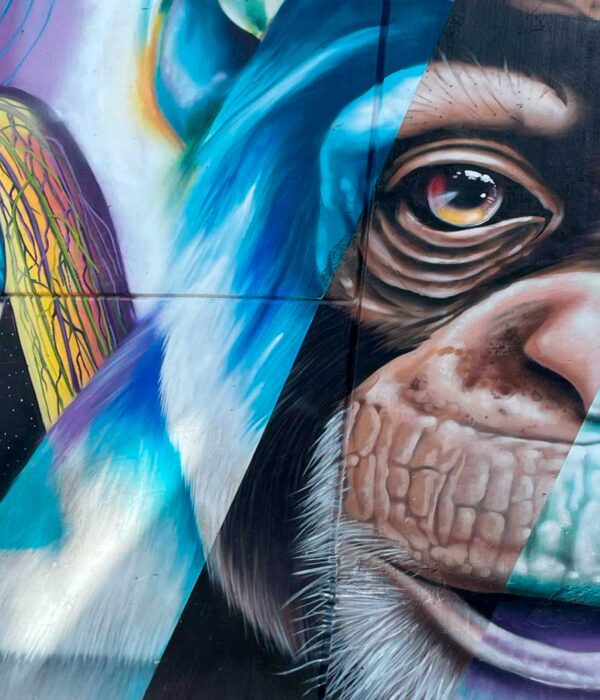murales de la comuna 13