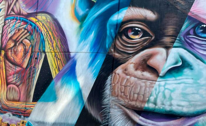 murales de la comuna 13
