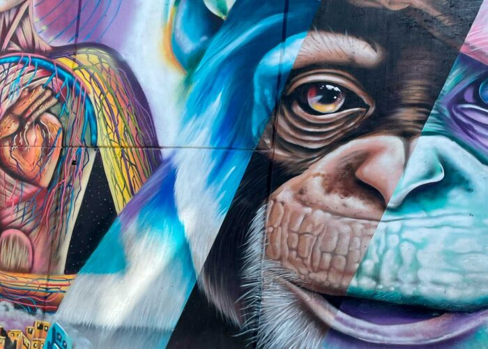 murales de la comuna 13