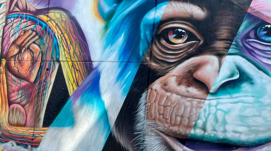 murales de la comuna 13